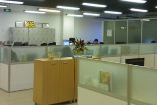 看準(zhǔn)網(wǎng)軟件開(kāi)發(fā) 洞悉企業(yè)需求，深耕技術(shù)賦能